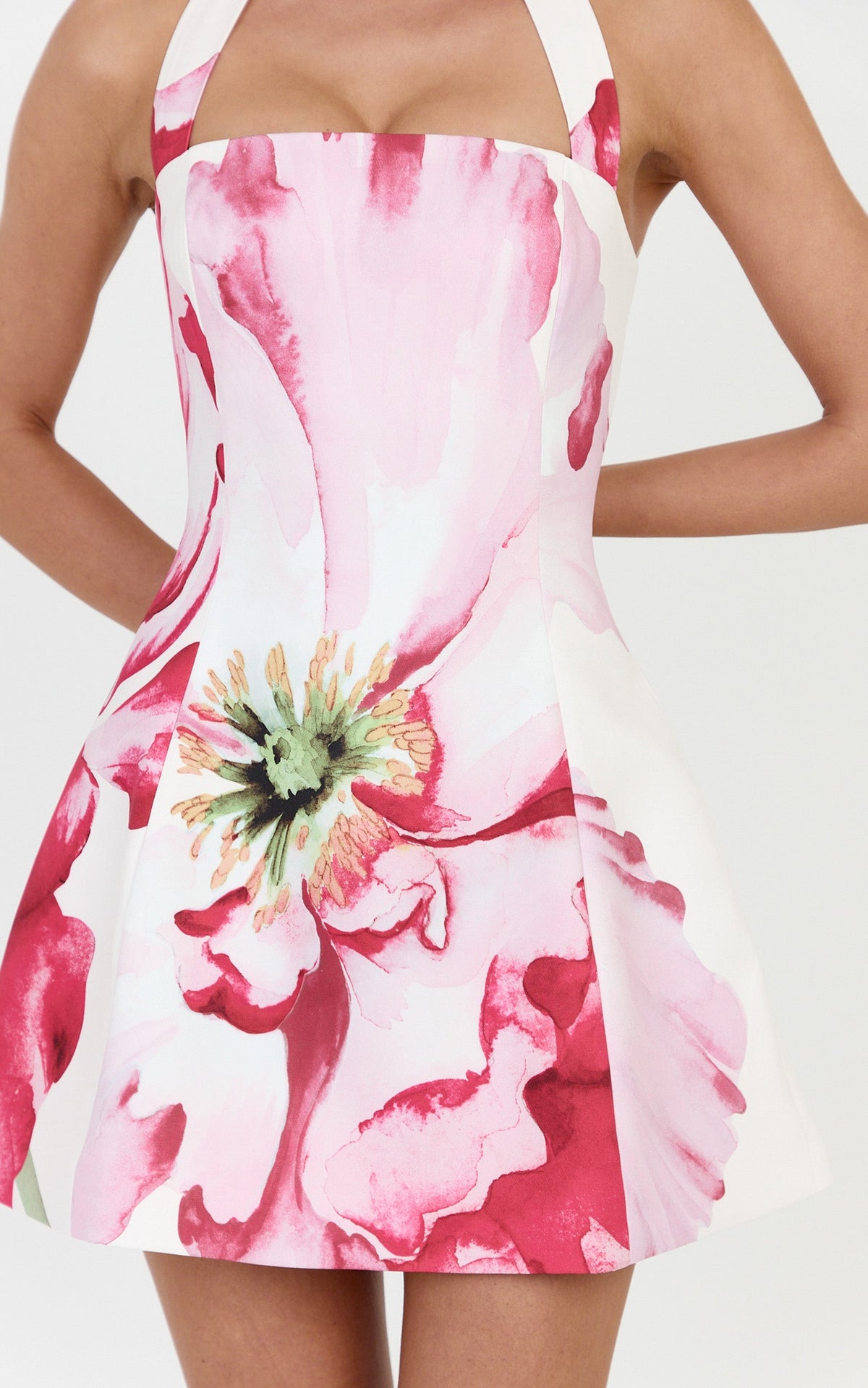 Alessia Mini Dress - Halter Neck Tie A Line Skirt Dress in Painted Poppy Print