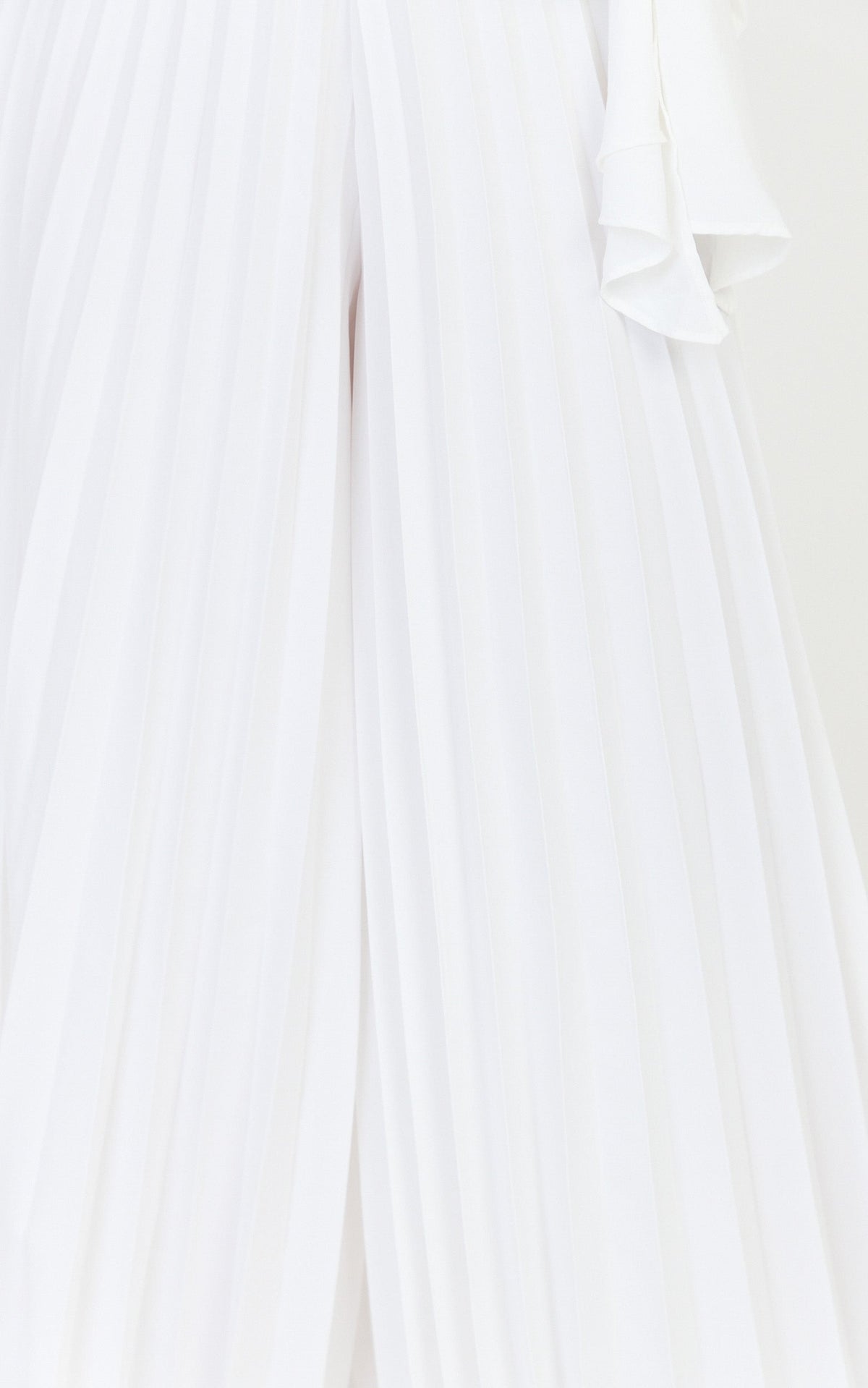 Valentina Pants - Pleated Wide Legged Pants in Off White