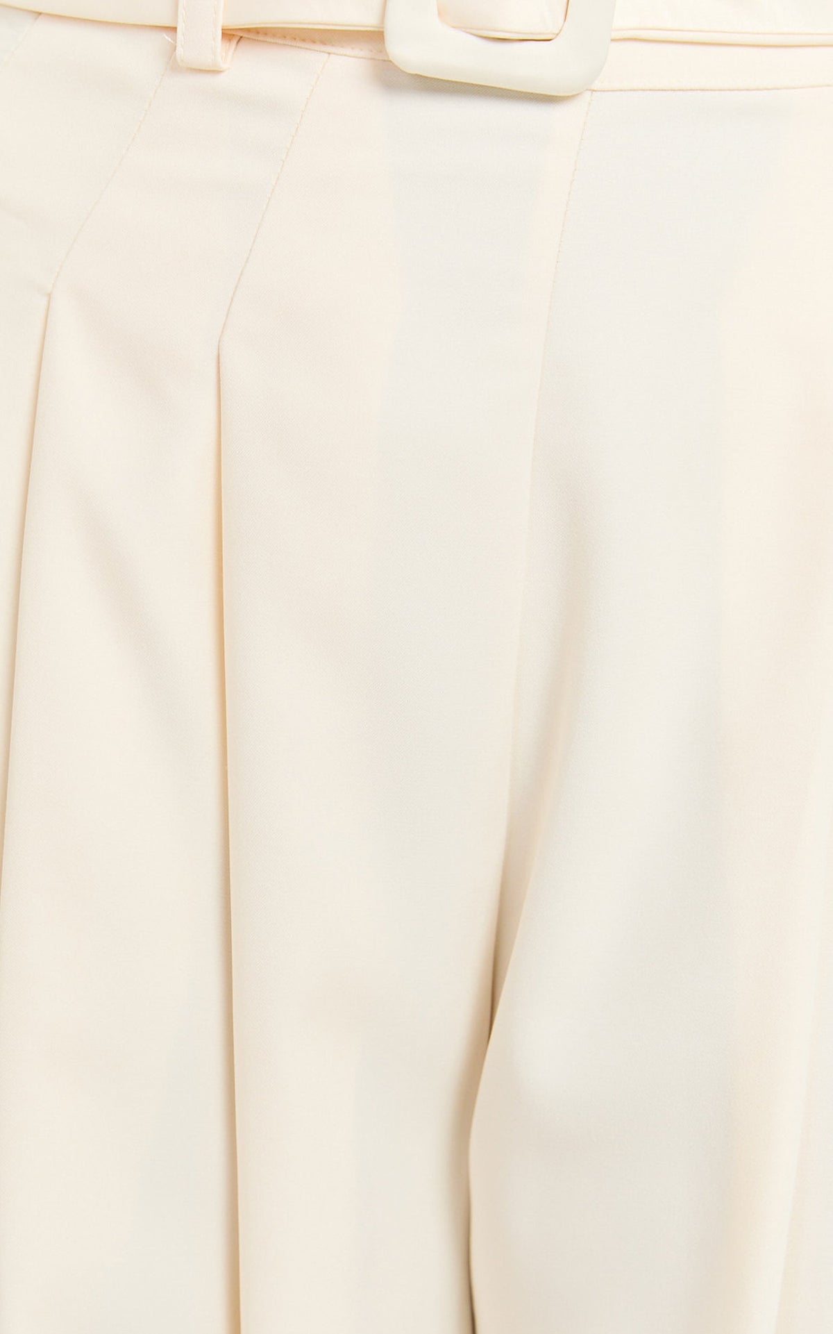 Amalie The Label - Raquelle Pleated Wid Leg Belted Pant in Ivory