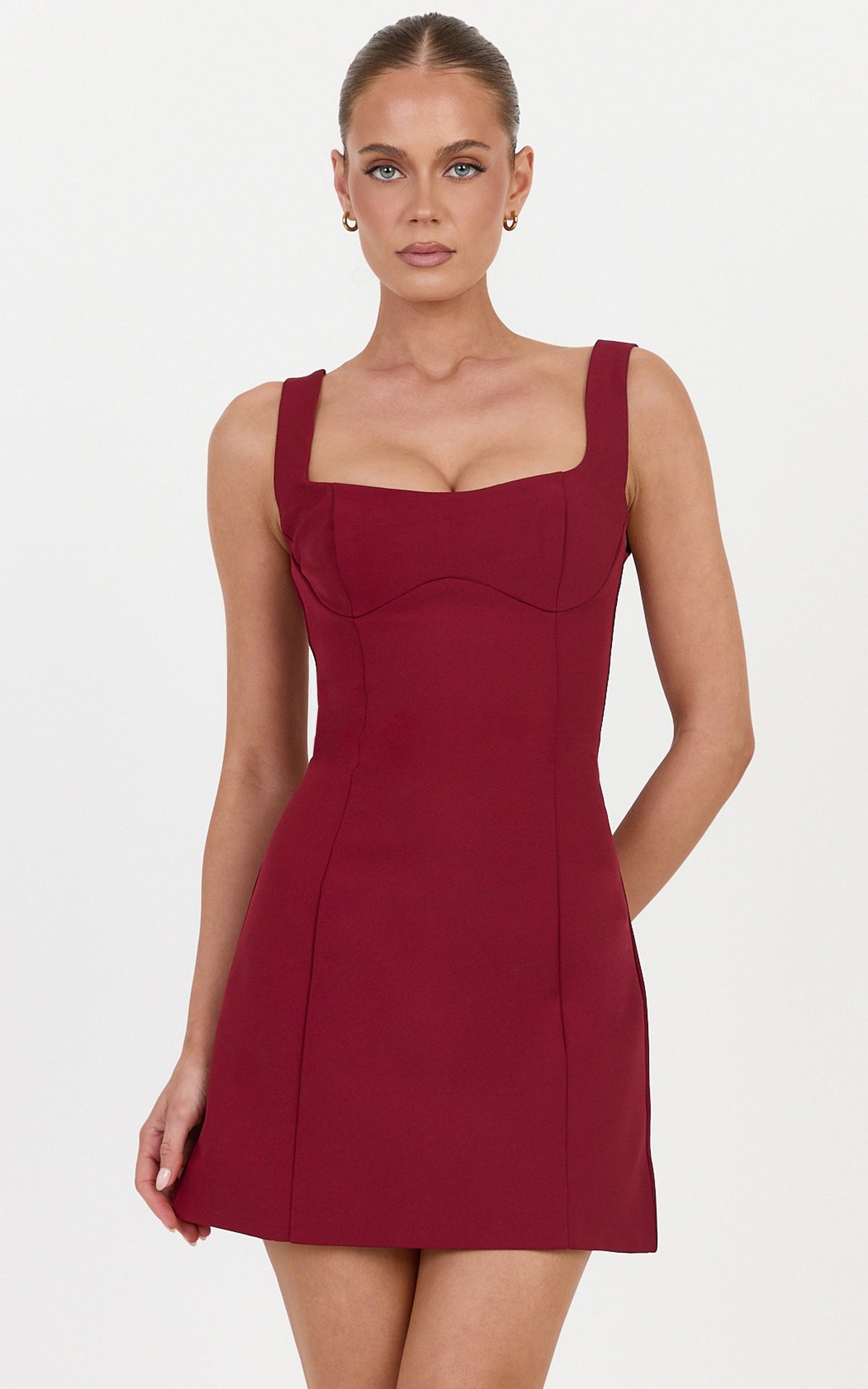 Zaria Mini Dress - Panel Dress in Wine